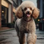 Identificando a Febre no Seu Cão: Um Guia Prático de Avaliação Manual