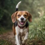 Expectativa de Vida do Beagle: Guia Veterinário para uma Longevidade Saudável