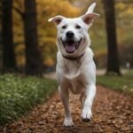 Ciúmes em cães: existe e como lidar