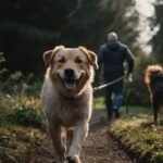 Review: Furminator funciona mesmo? A Análise Técnica de um Veterinário