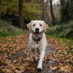 Cães de guarda: A diferença entre proteção e agressividade descontrolada