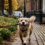 Adestramento Positivo: O que é e por que funciona melhor que punição